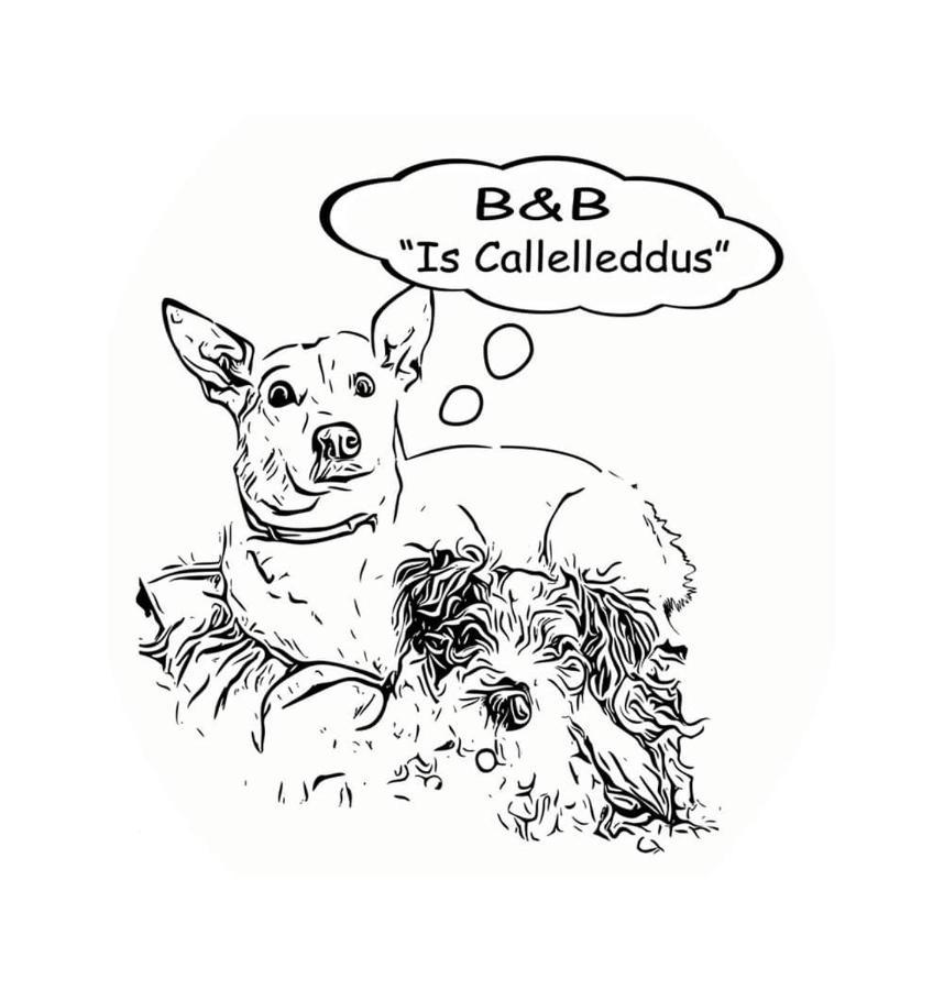 باري ساردو B&B Is Callelleddus المظهر الخارجي الصورة